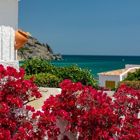 Lemon Tree Apartment Praia Da Luz Zewnętrze zdjęcie