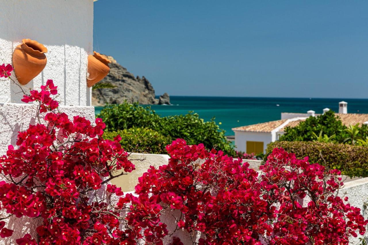 Lemon Tree Apartment Praia Da Luz Zewnętrze zdjęcie